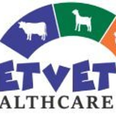 Petvethealthcare Petvethealthcare