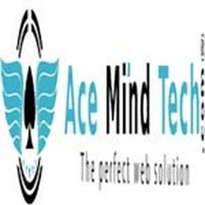 Acemind Technology