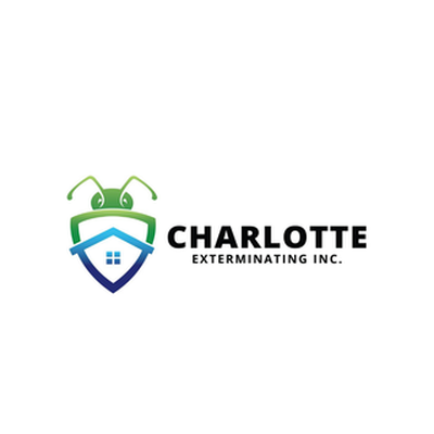 Charlotte Exterminating - Wasp Control