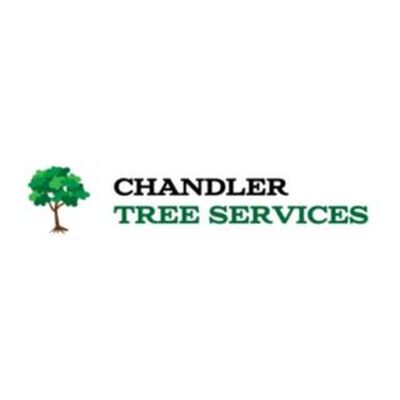 Chandler Tree Service